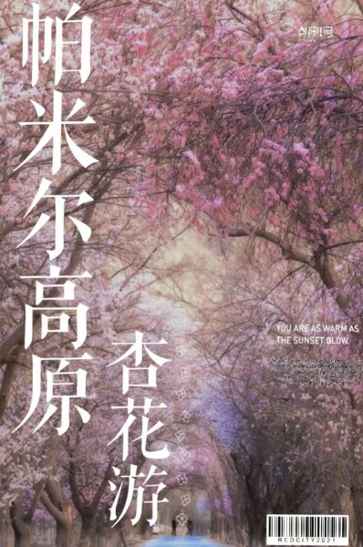 新疆杏花丨一份来自帕米尔高原精灵的邀请函
