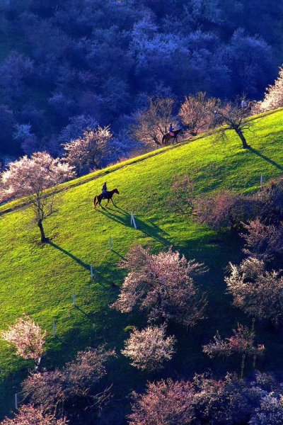 2024年新疆旅游北疆游玩线路合集 优惠多多