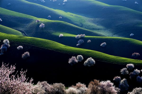 四月初去新疆旅游看什么？