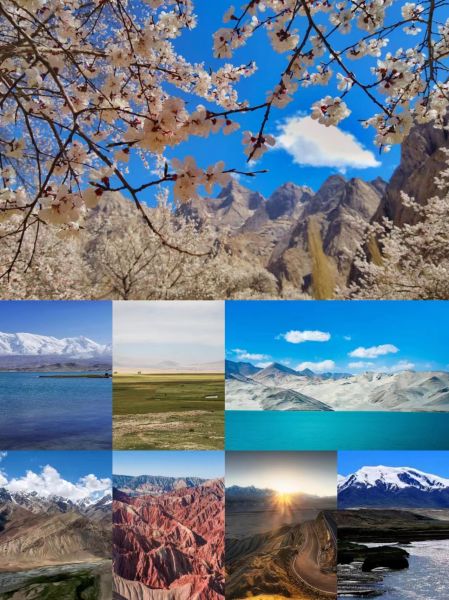 2024年 4月，8天南疆攻略详细拿走不谢