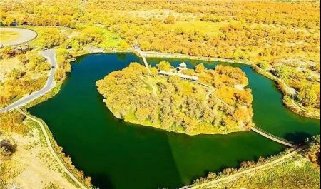 金胡杨国家森林公园