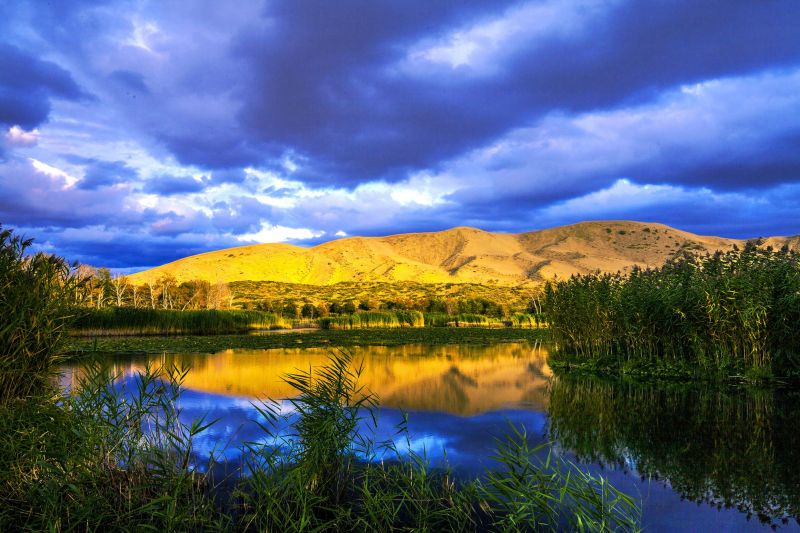 白沙湖景区（哈巴河）