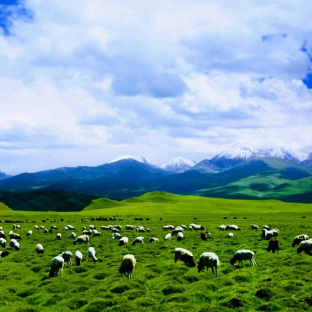 新疆伊犁独库小环线赛里木湖喀拉峻草原沙漠5日游