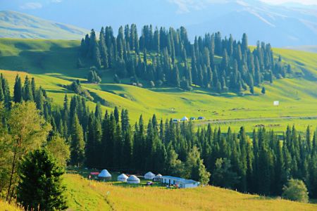 伊犁深度赛里木湖 夏塔 喀拉峻 琼库什台 那拉提 独山子大峡谷6日游