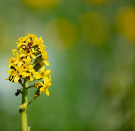 伊犁＋喀什21天全景大环线➕保姆级攻略